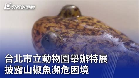 山連魚|瀕危動物